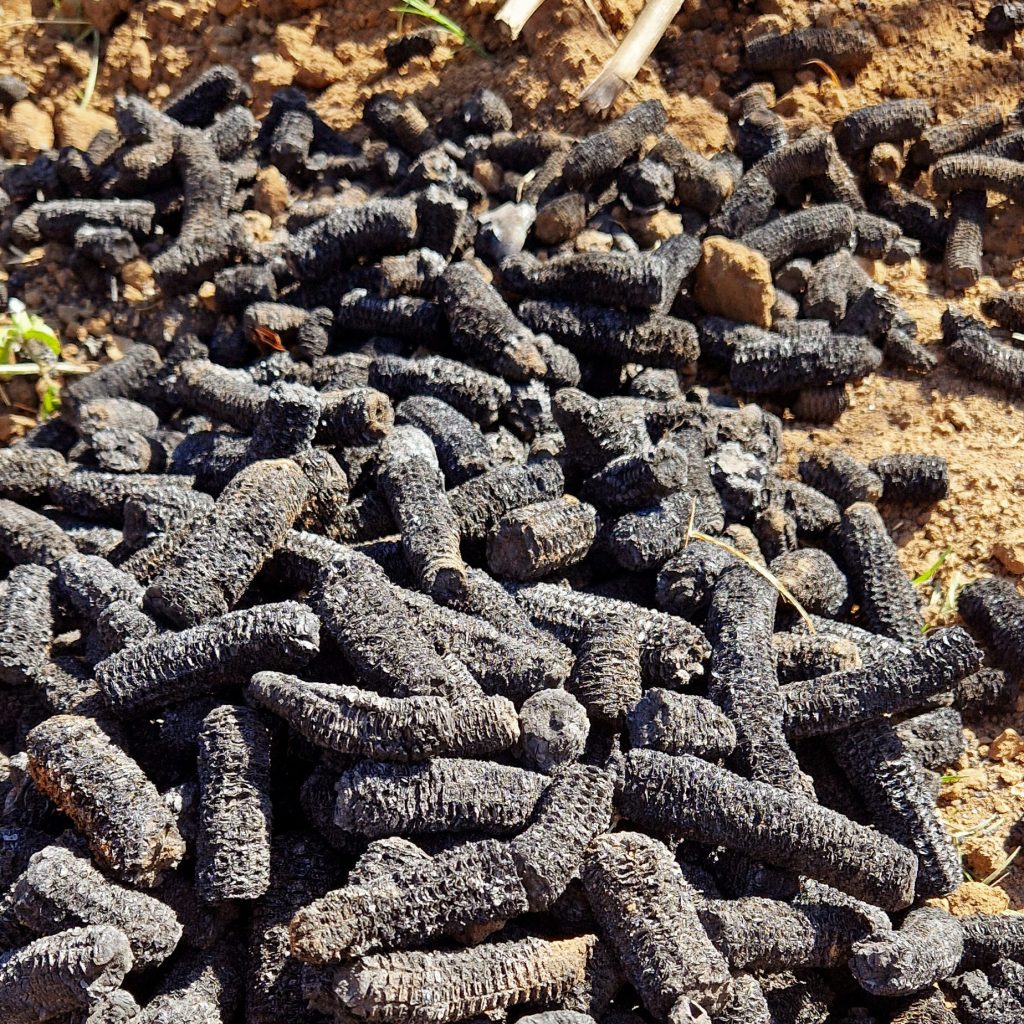 Climate Smart Farming Solutions Climate Smart Farming Solutions